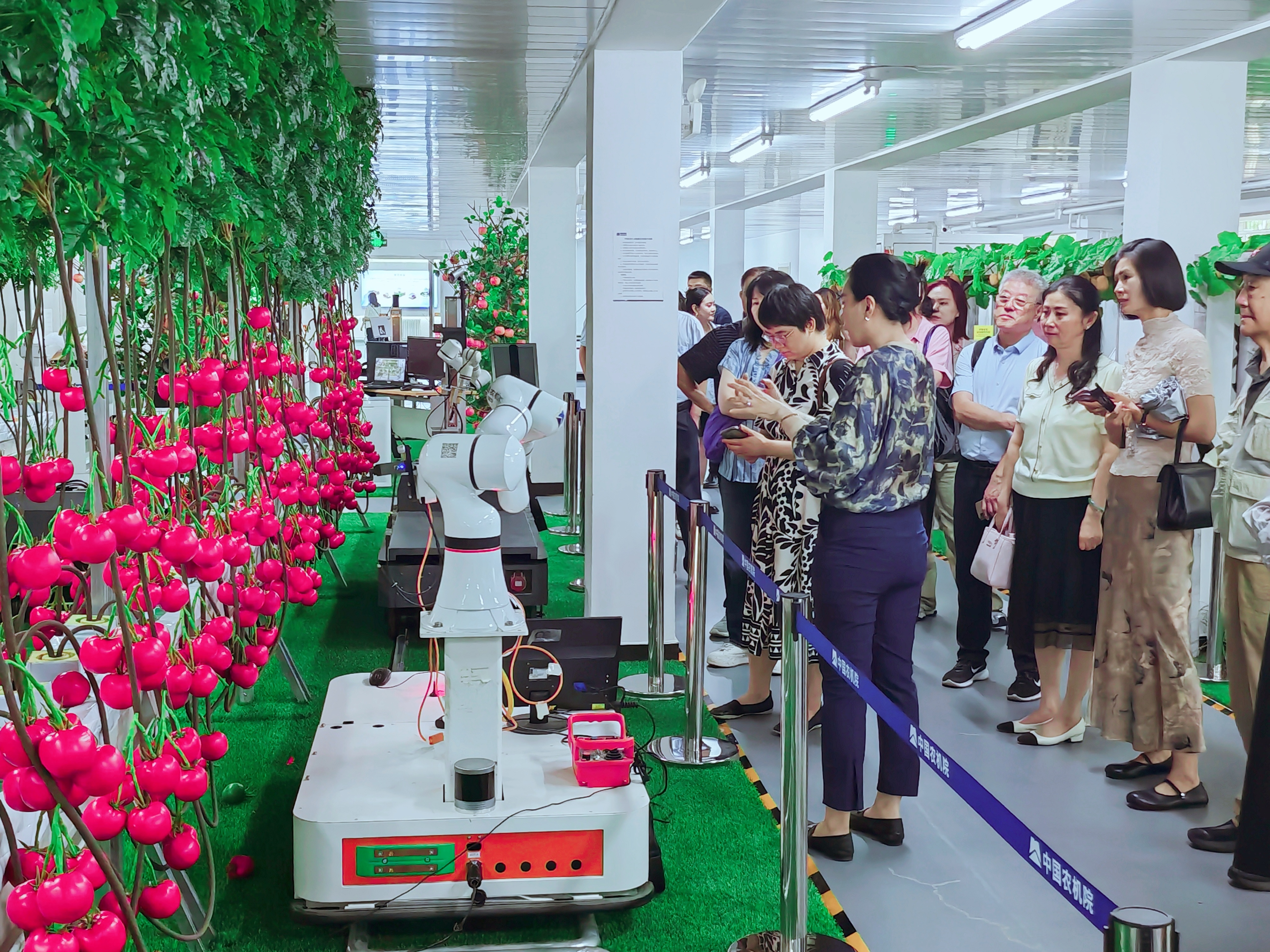 k豆钱包官方网站 - KDpay钱包