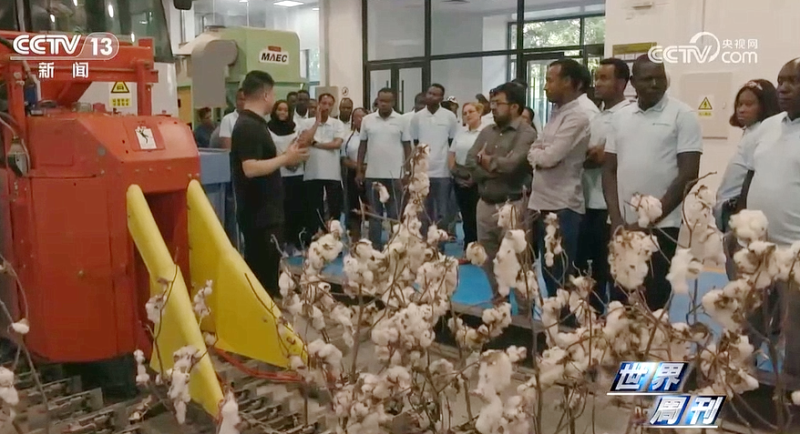 k豆钱包官方网站 - KDpay钱包