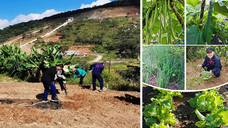 k豆钱包官方网站 - KDpay钱包